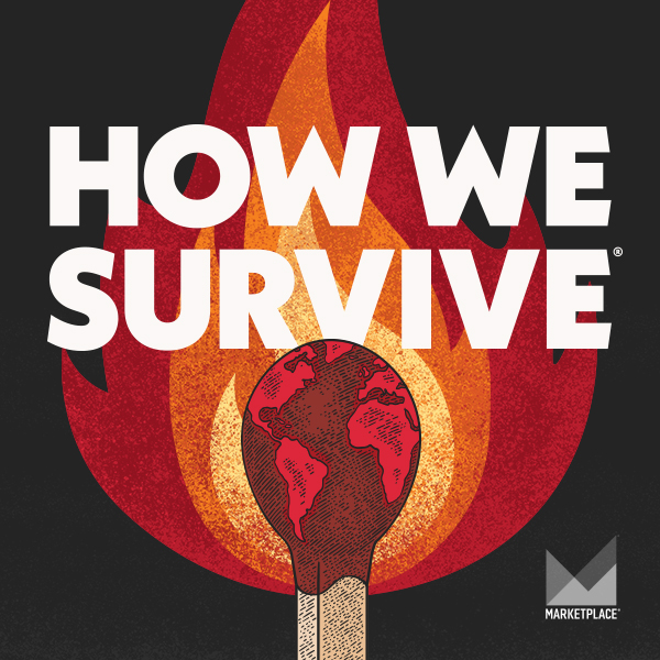 How We Survive logo